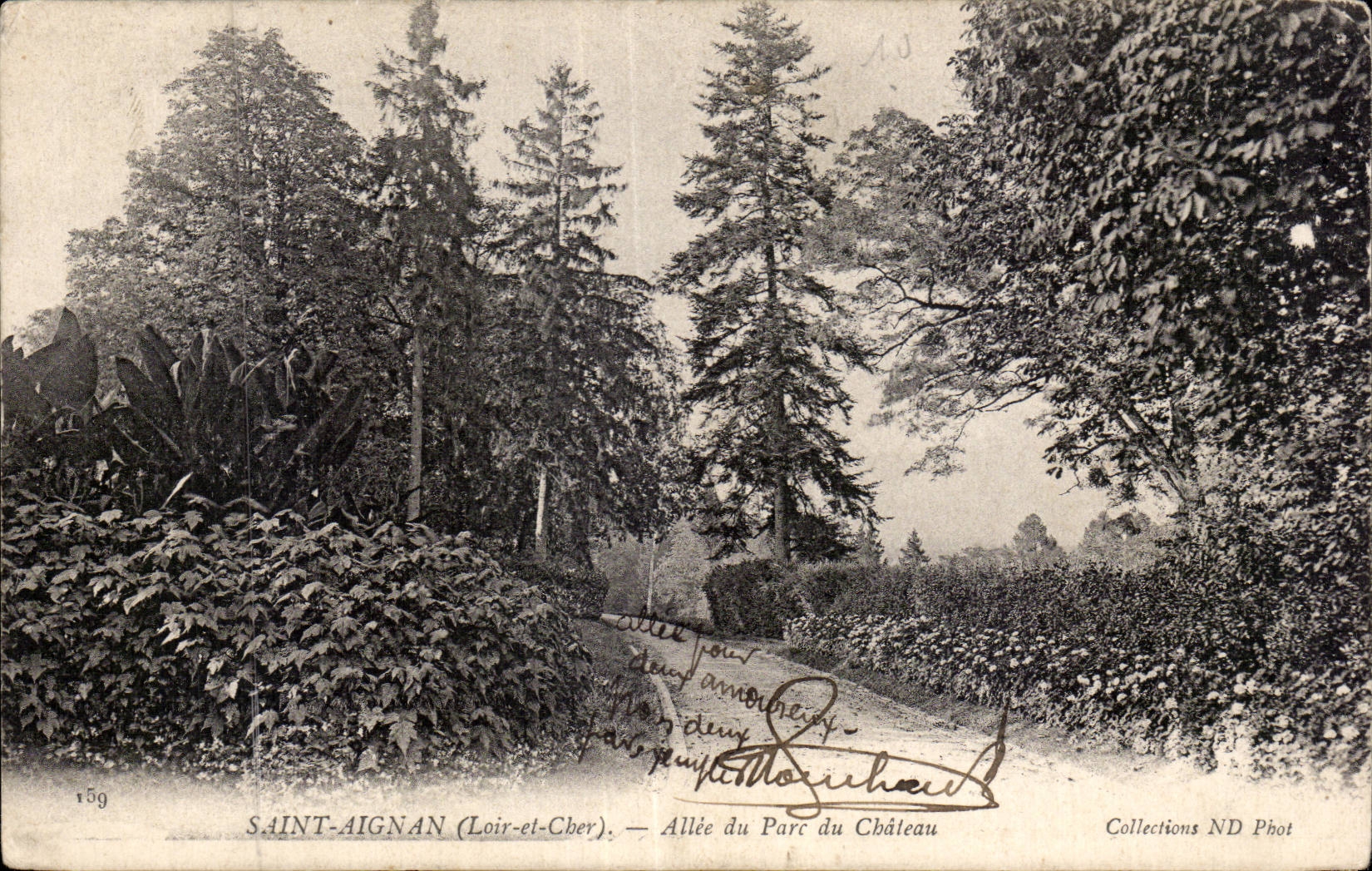CPA Saint Aignan Alee du parc du chateau