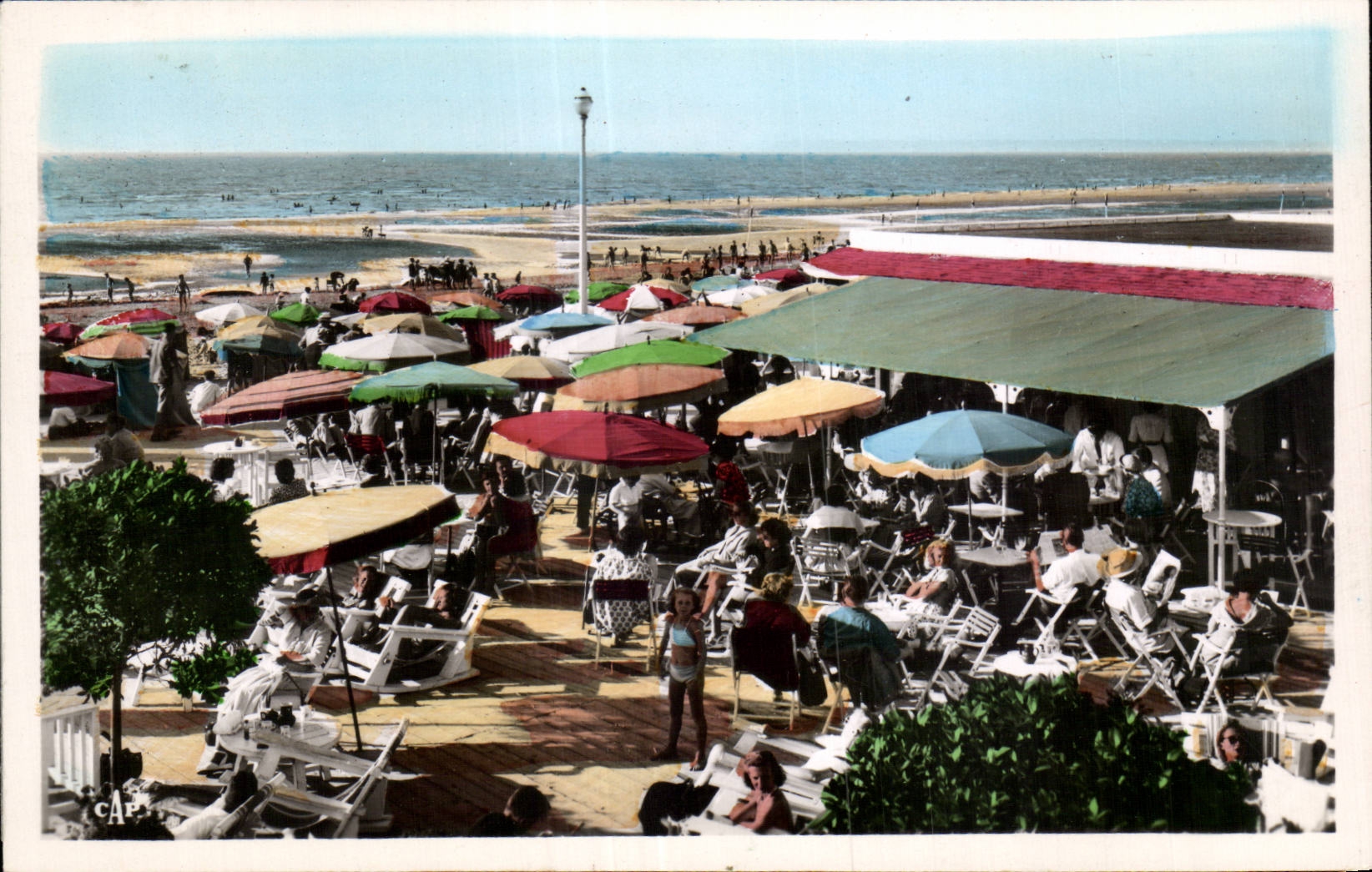 Deauville - Flowered Beach - Idleness on the Beach - CPA