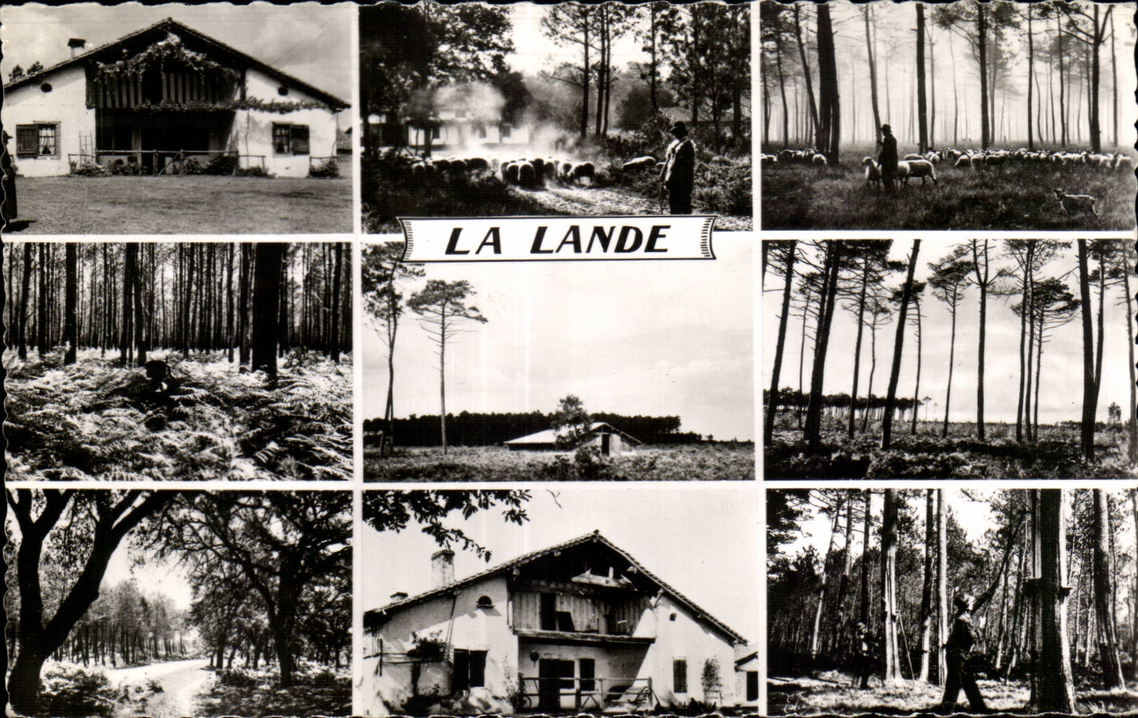 El amarrar - recuerdo - CPA