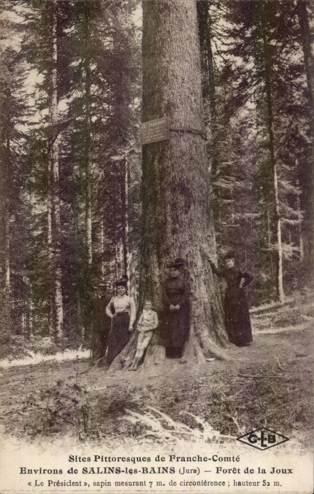 Saline les Bains - forest of Joux - CPA