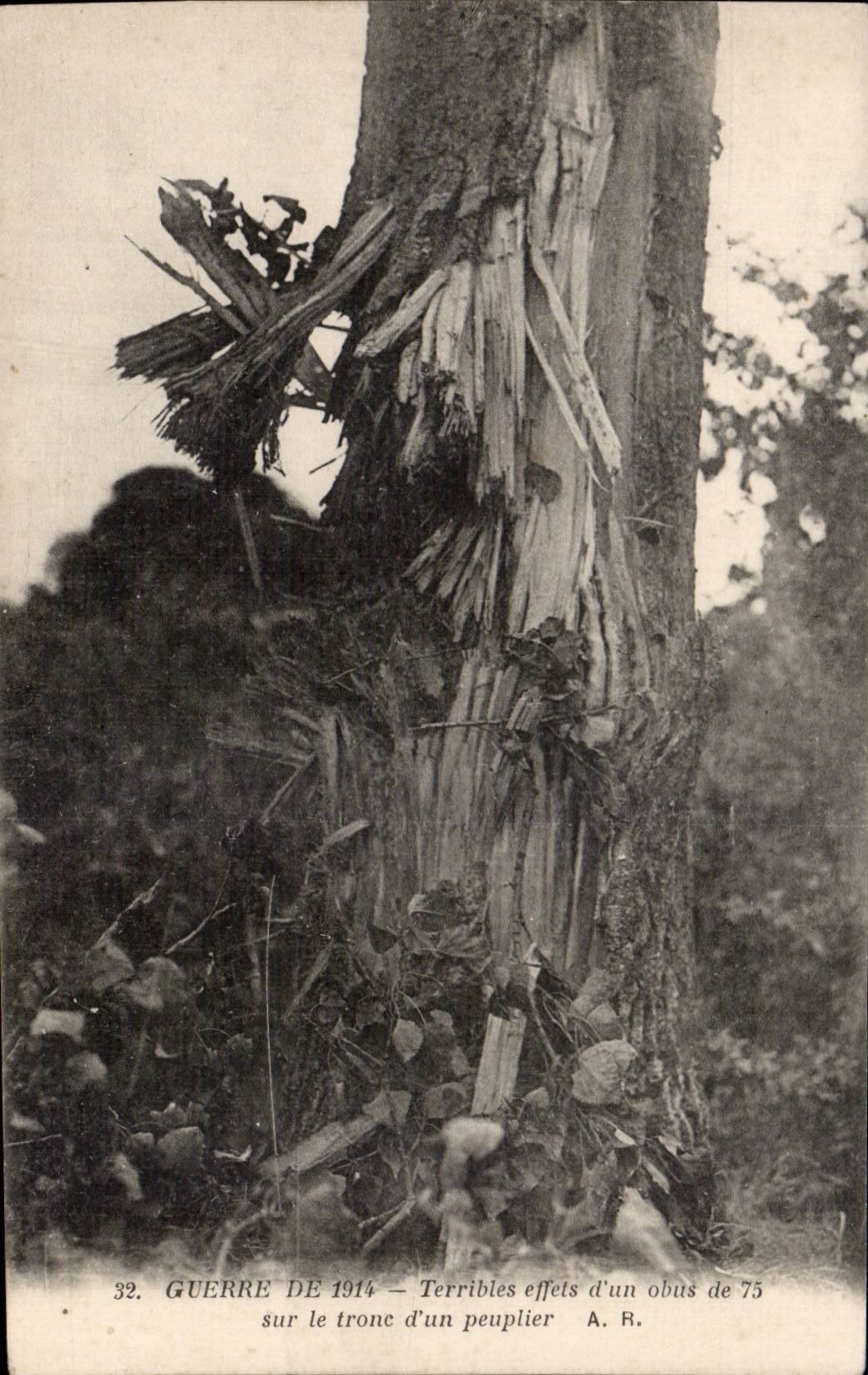 CPA Militaria War of 1914 Terribles effects a shell of 75 on the trunk a poplar