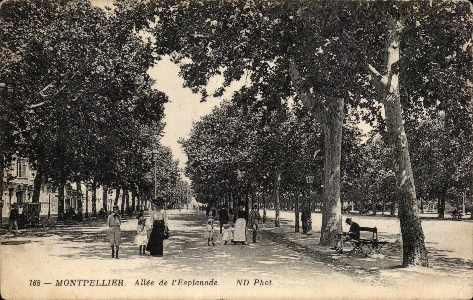 CPA Montpellier Allee de l esplanade