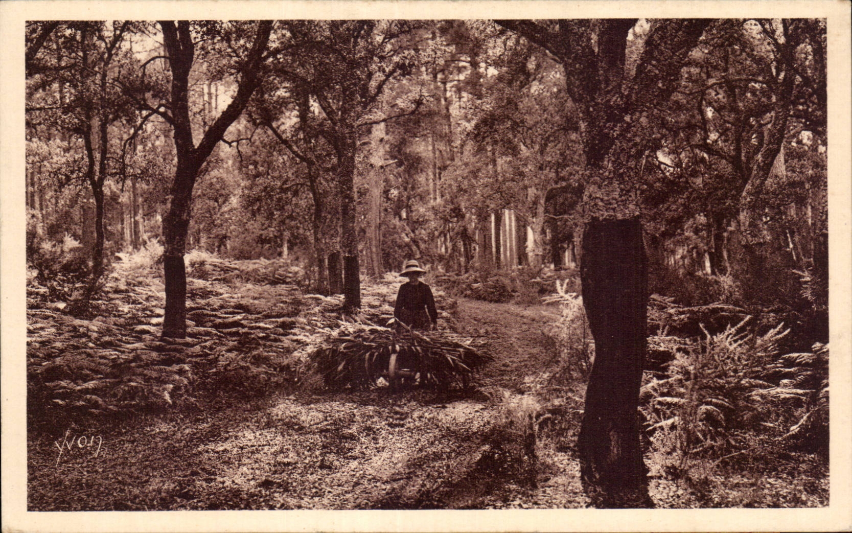 CPA amarra de Gascogne la vuelta del campesino a la granja (el tiro agradable)