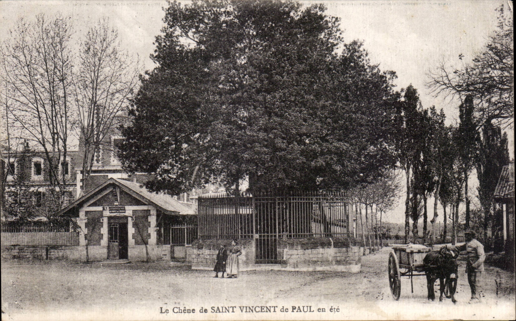 CPA the oak of Saint Vincent of Paul in state Ass Donkey