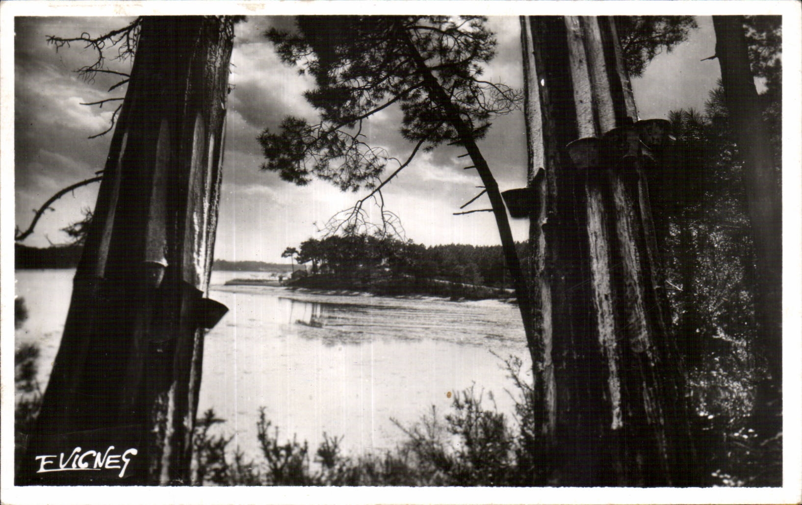 Hossegor - Lake Martin - CPA