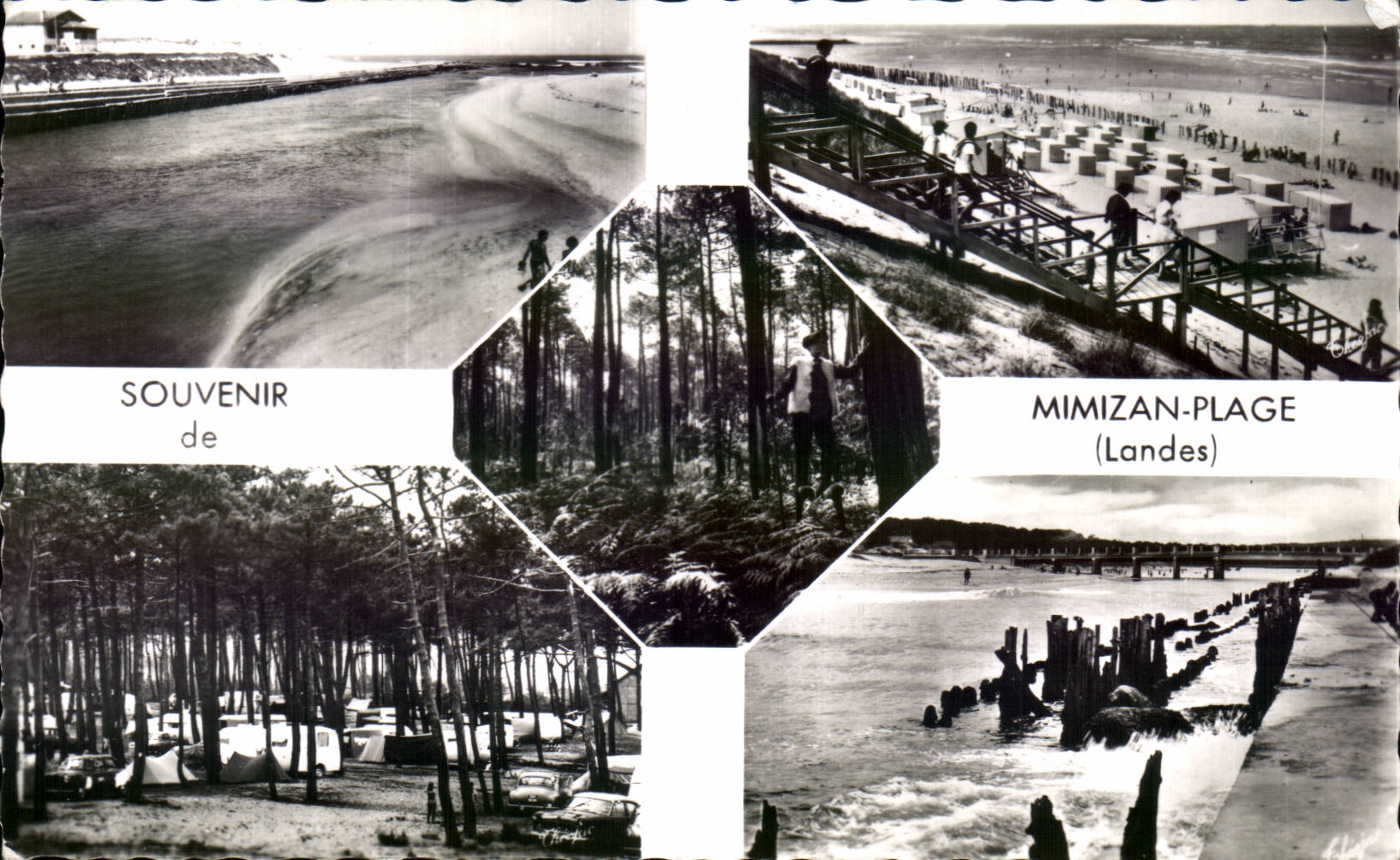 Mimizan Plage - Souvenir - CPA 