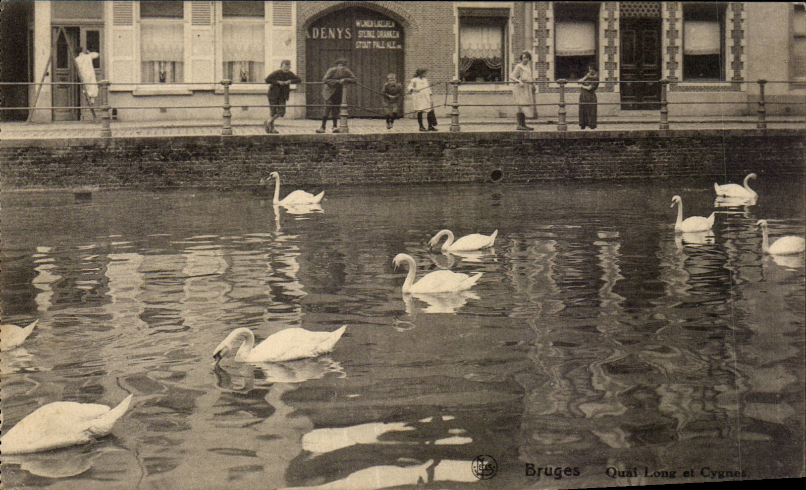 CPA Belgium Brugge Bruges Long Quay and swans