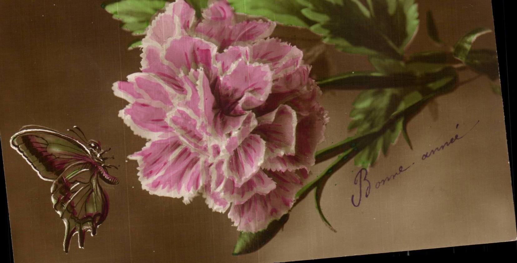 Fleurs Papillon - Butterfly - CPA 