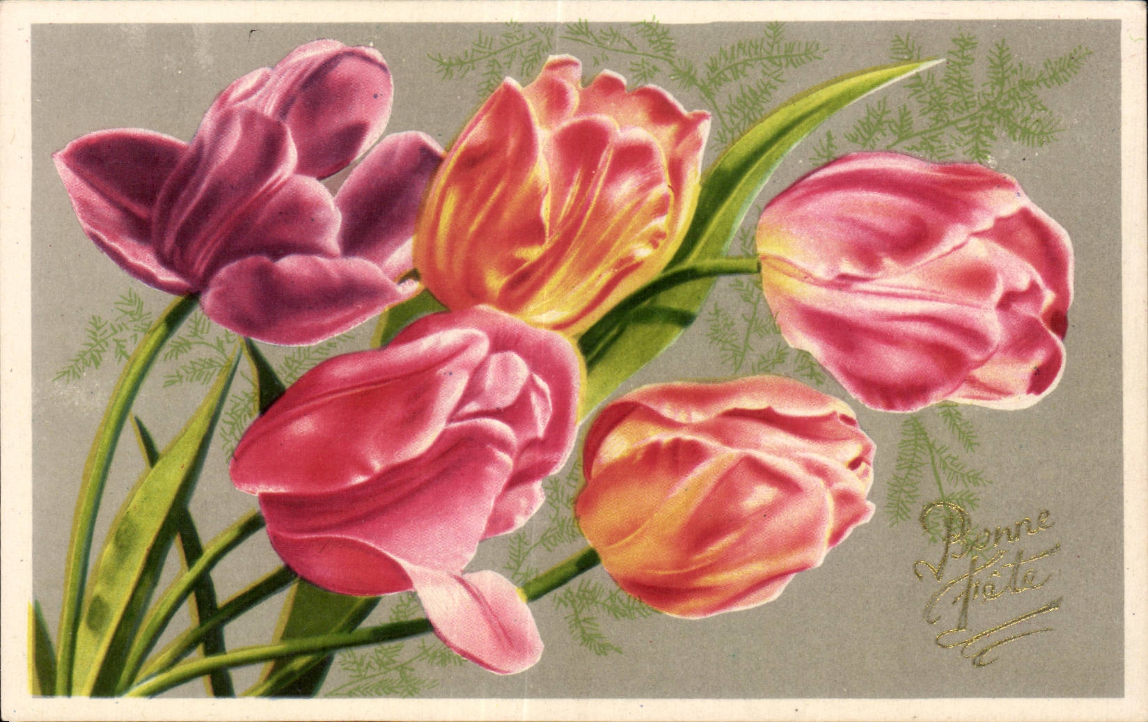 Fleurs Tulipe - Tulip - CPA 