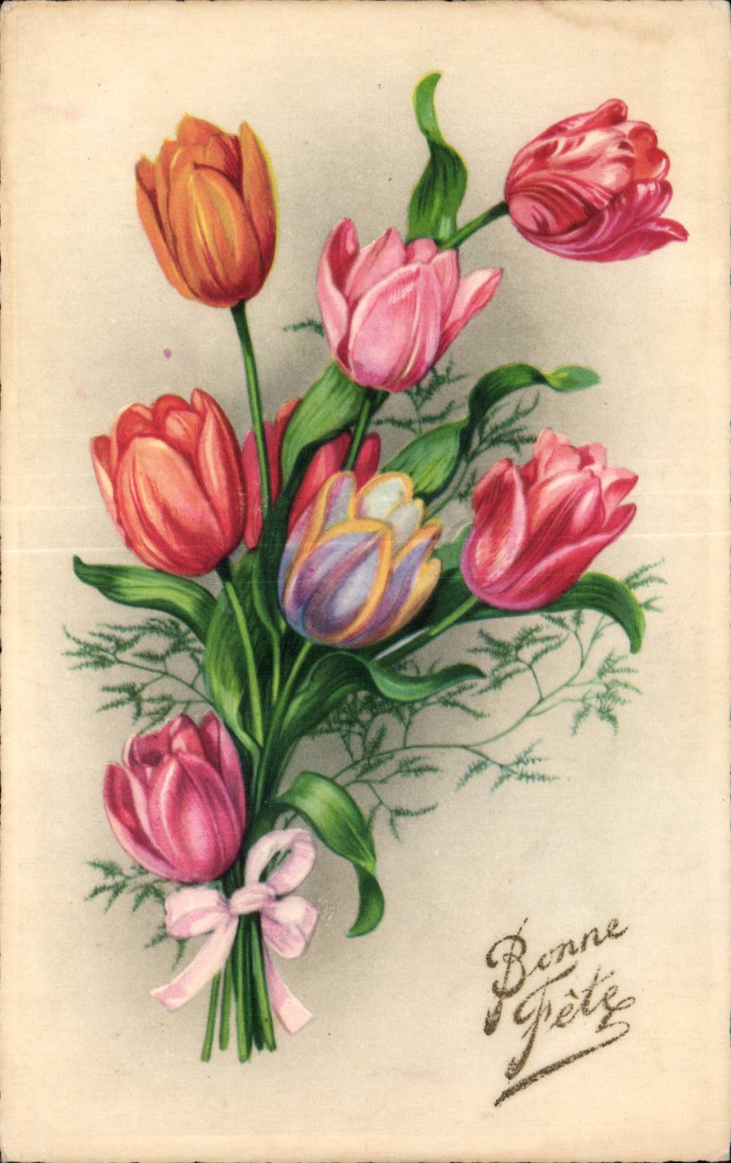 Fleurs Tulipe - Tulip - CPA 