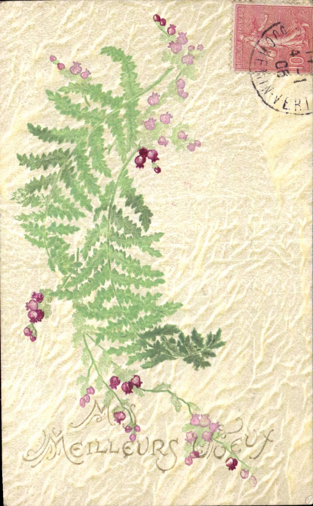Fleurs Fern - CPA 