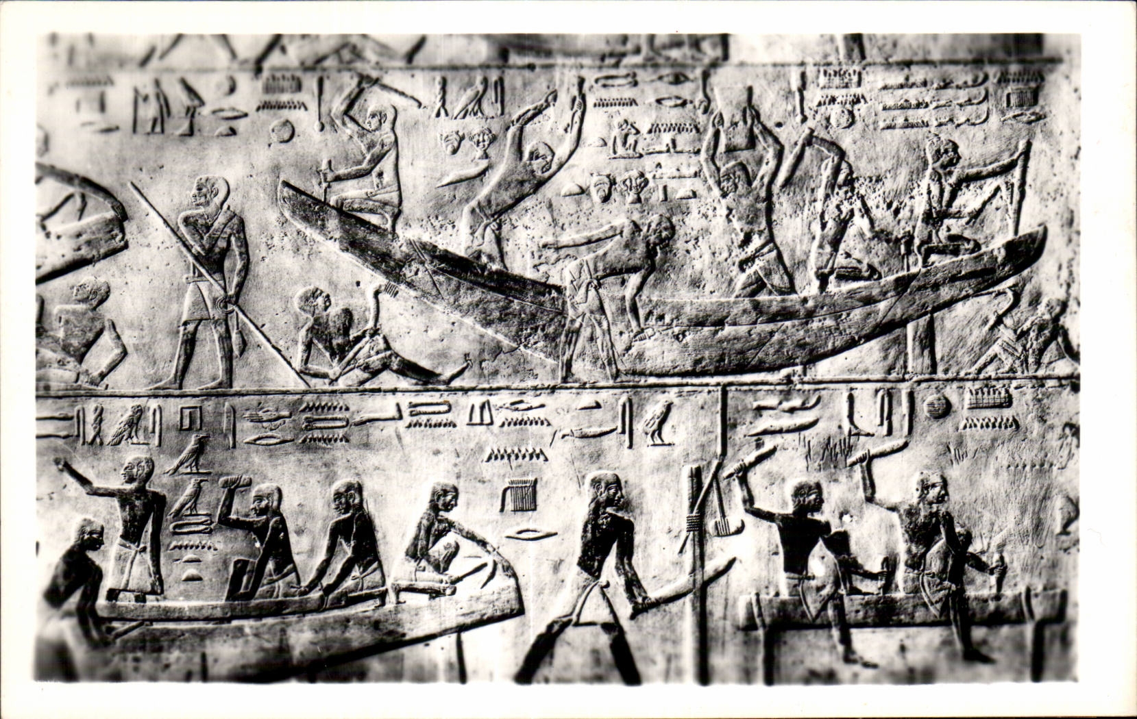 Tumba de CPSM Egipto Egipto Sakkara del Ti