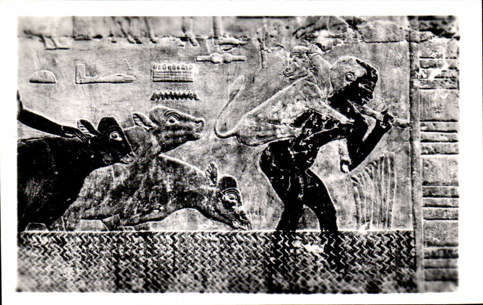 CPSM Egypte Egypt Sakkara Tomb of Ti