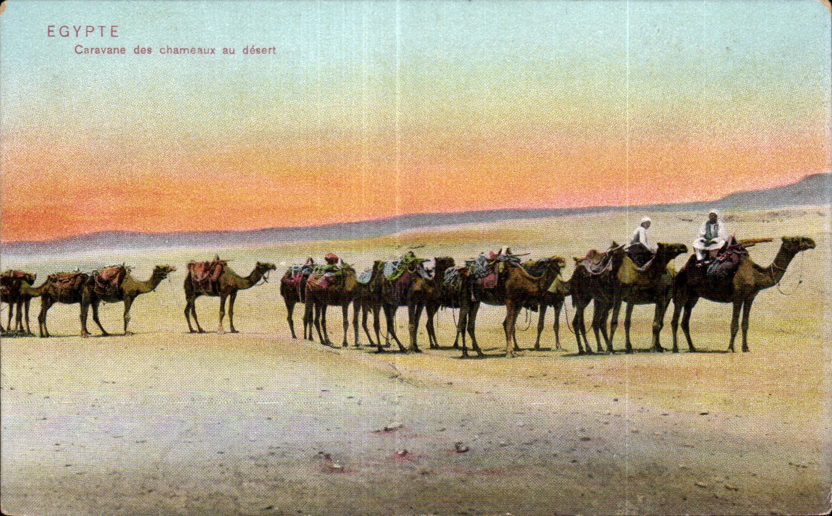 Africa - Africa - Egipto - Egipto - caravana de los camellos - CPA