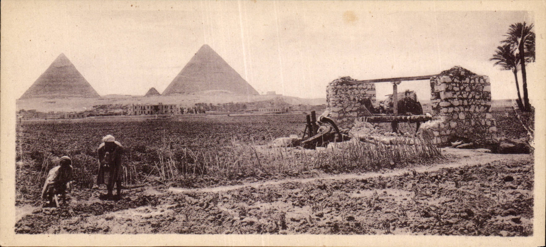 Africa - Africa - Egipto - Egipto - escena pastoral con el pie de las pirAmides - CPA