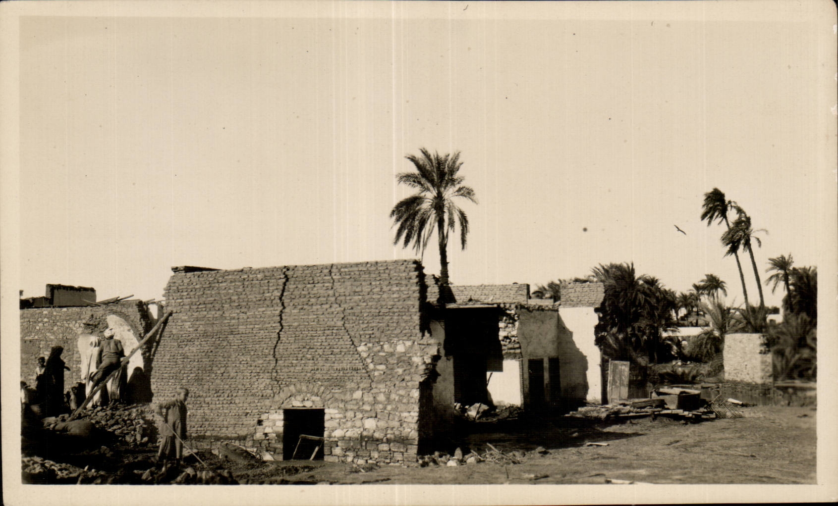 Africa - Africa - Egipto - Egipto - foto verdadera