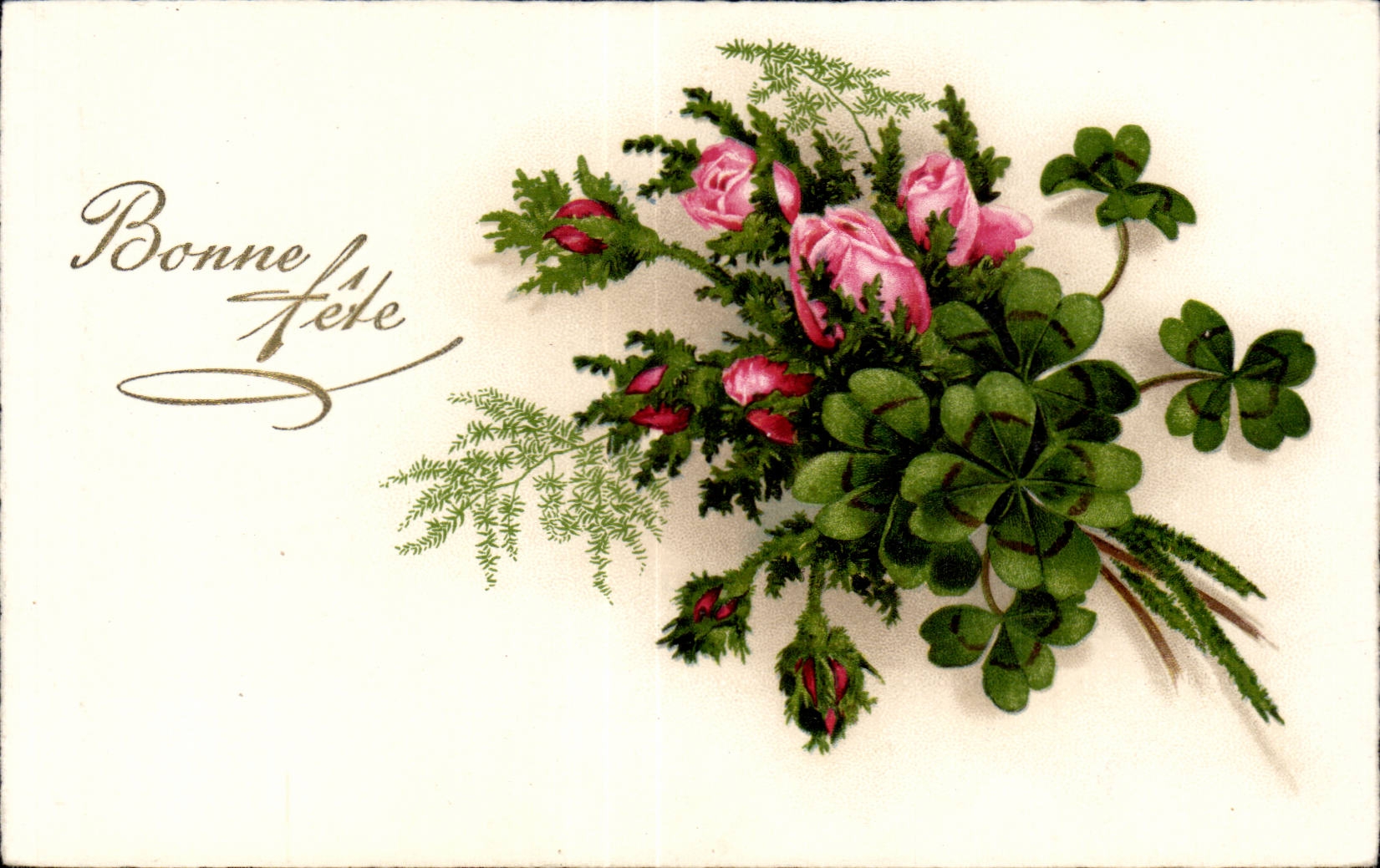 Fleurs trefle - four leaf clover - CPA 