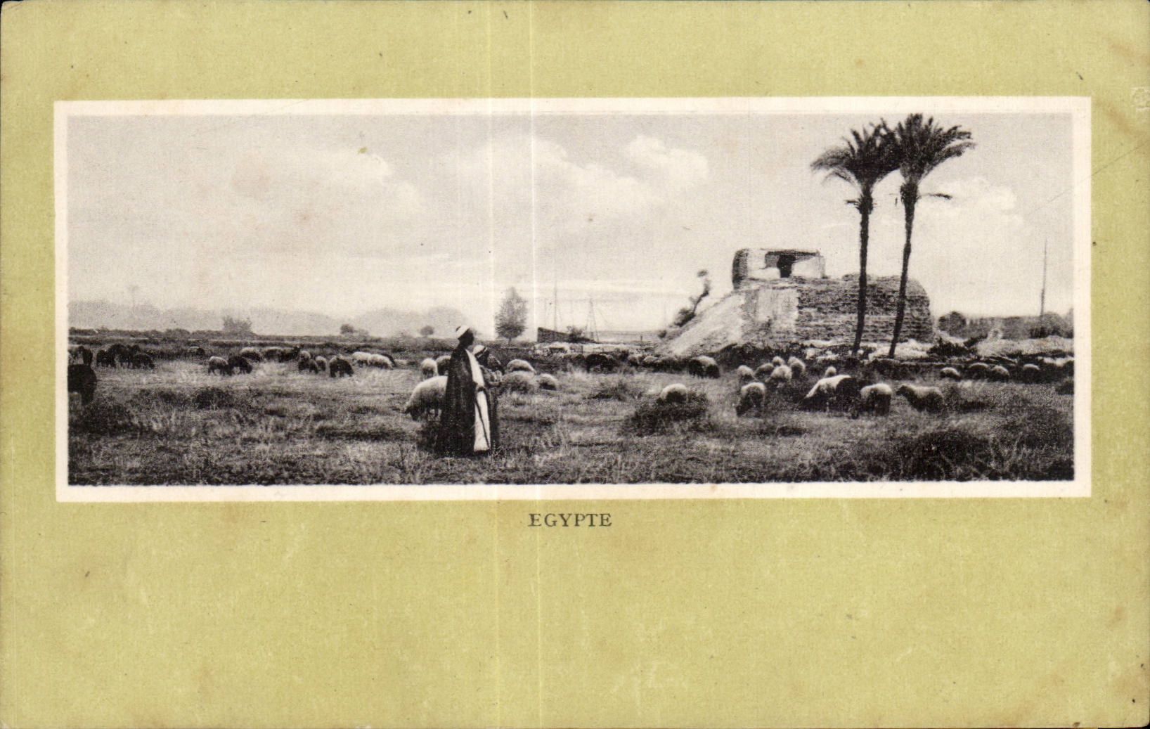 Afrique - Africa - Egypte - Egypt - CPA