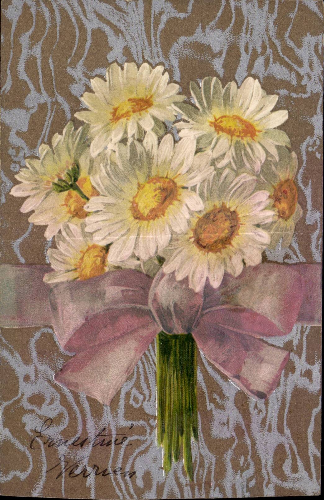 Fleurs daisy - CPA 