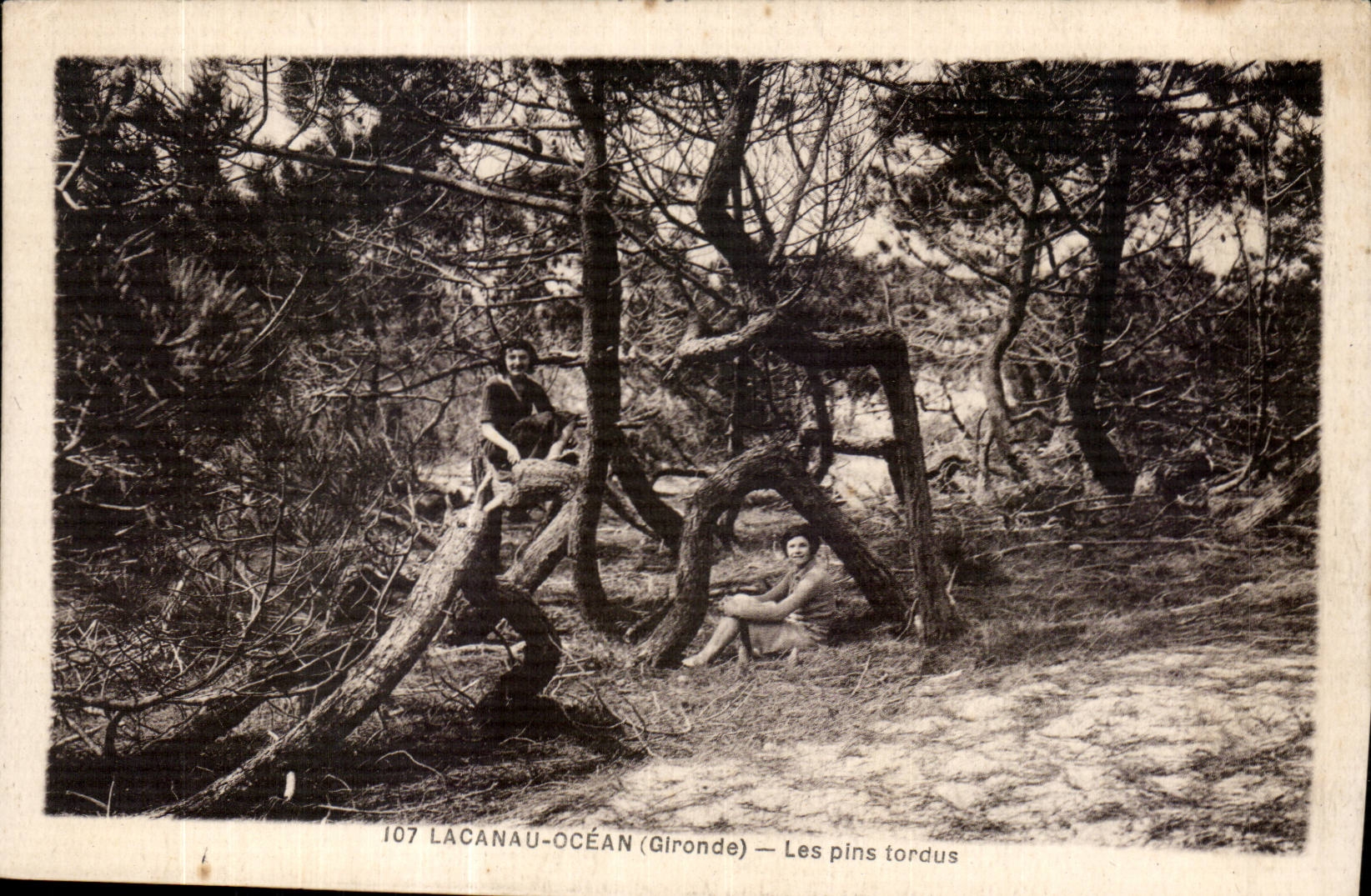 CPA Lacanau Ocean twisted pines