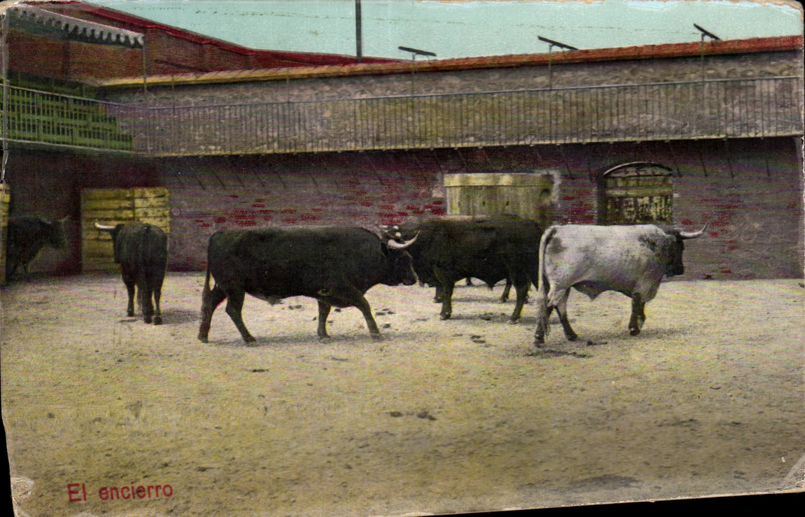 CPA Corrida Taureau El ancierro