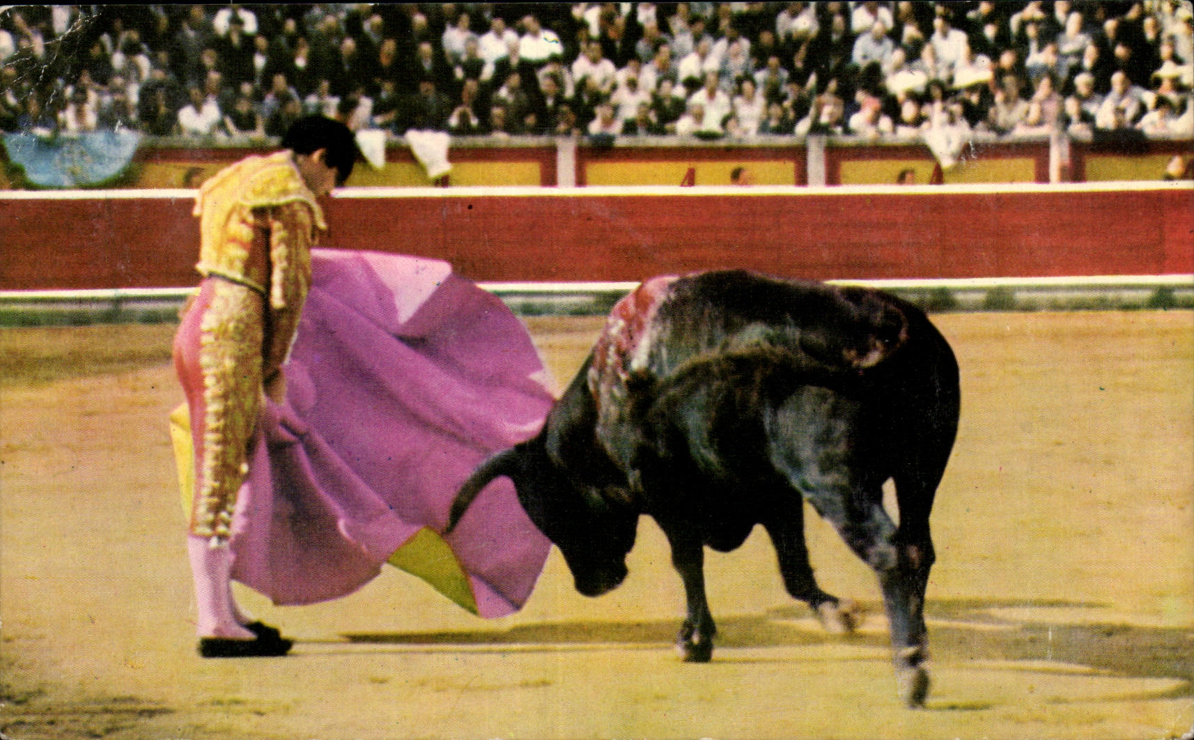 CPSM Corrida Taureau Course de taureaux 