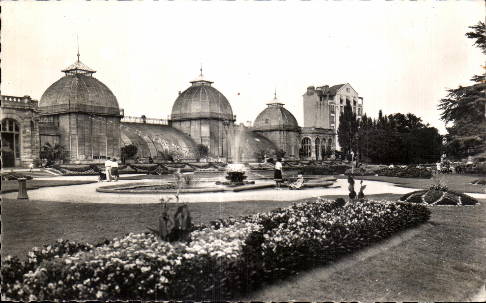 CPA Rennes Jardin Anglais du Thabor rt les Serres