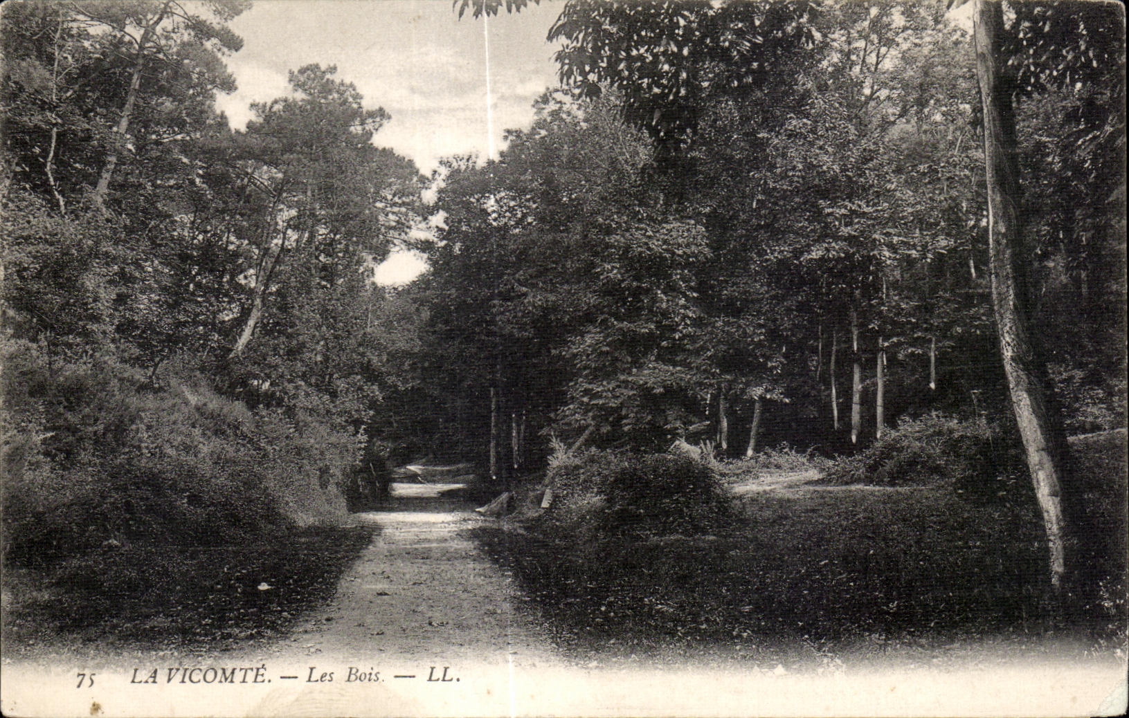 CPA el vizconde Wood