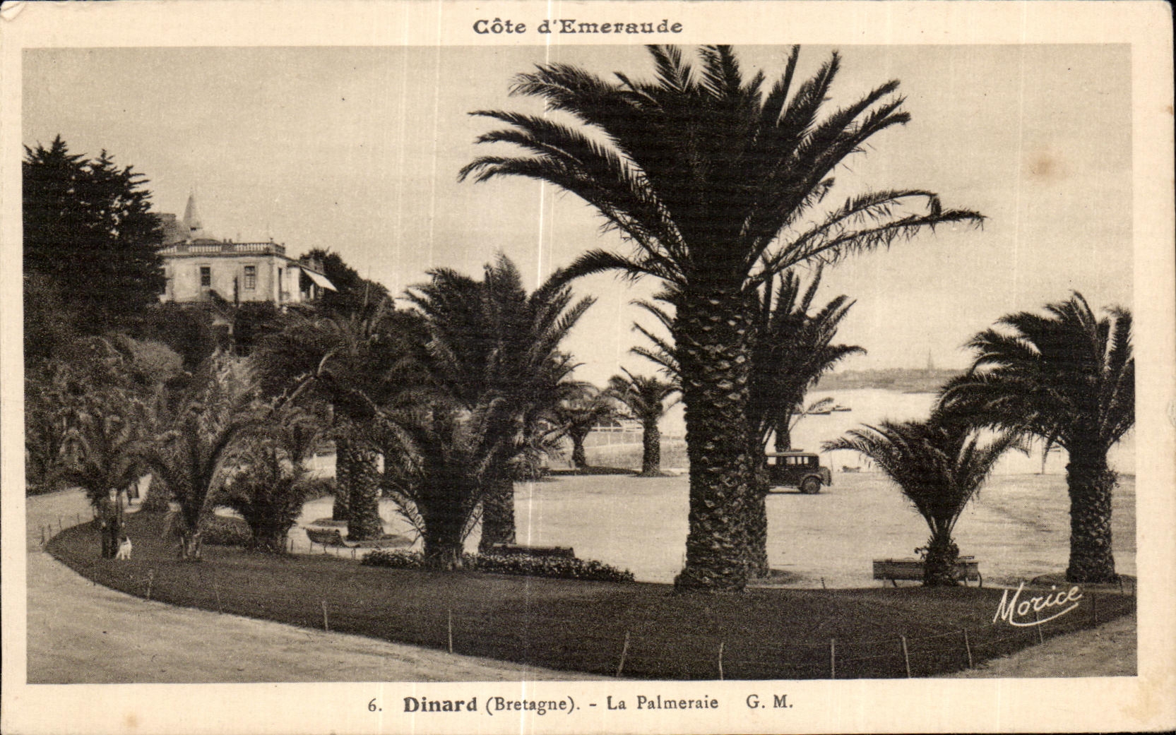 CPA Dinard (Bretagne) La Palmeraie