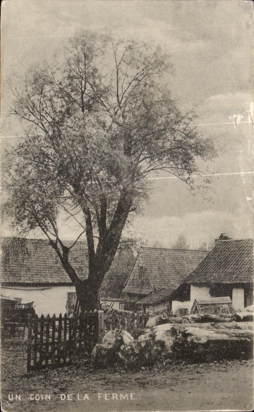CPA Un coin de la Ferme