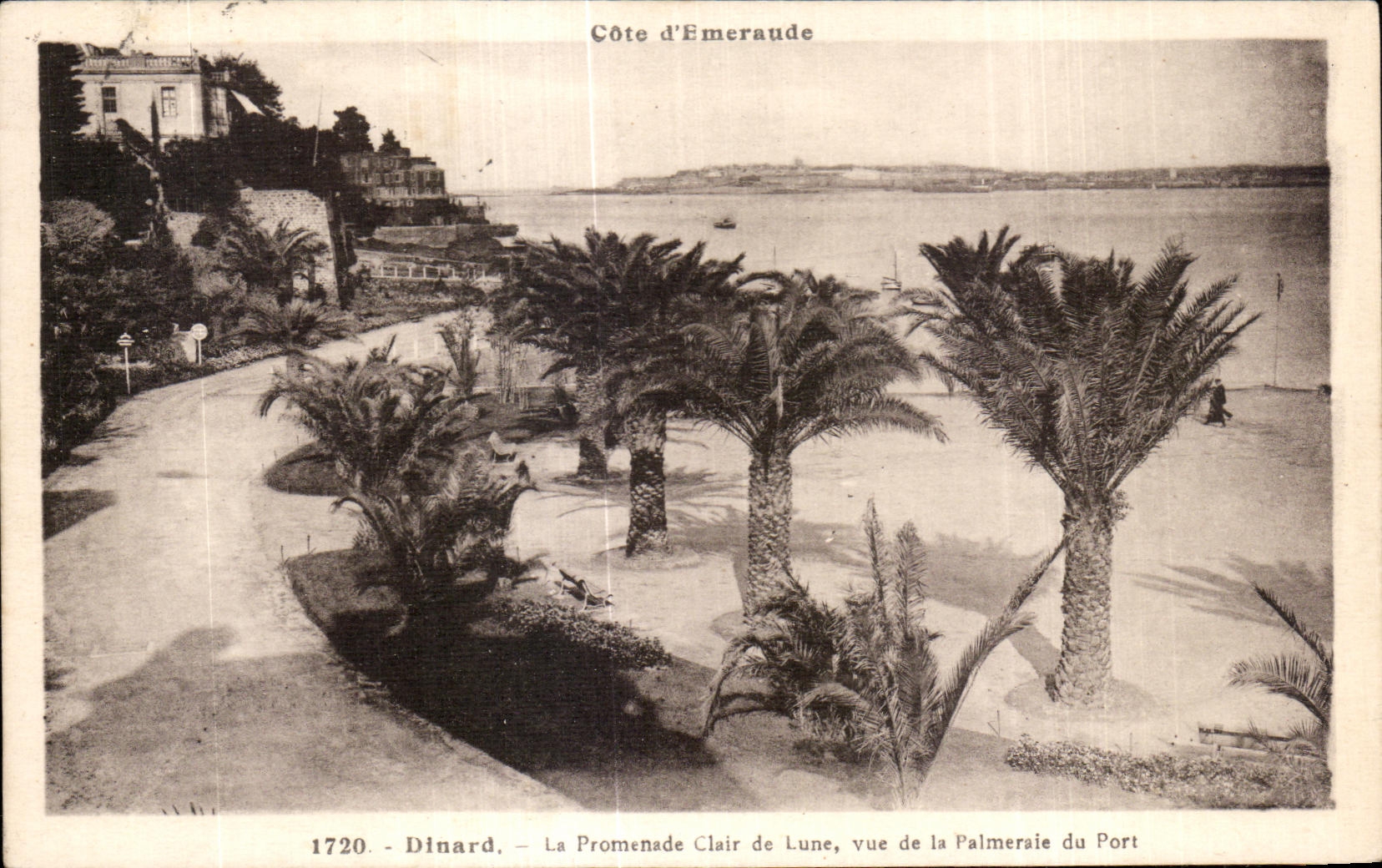 CPA Dinard La Promenade Clair de Lune vue de la Palmeraie du Port