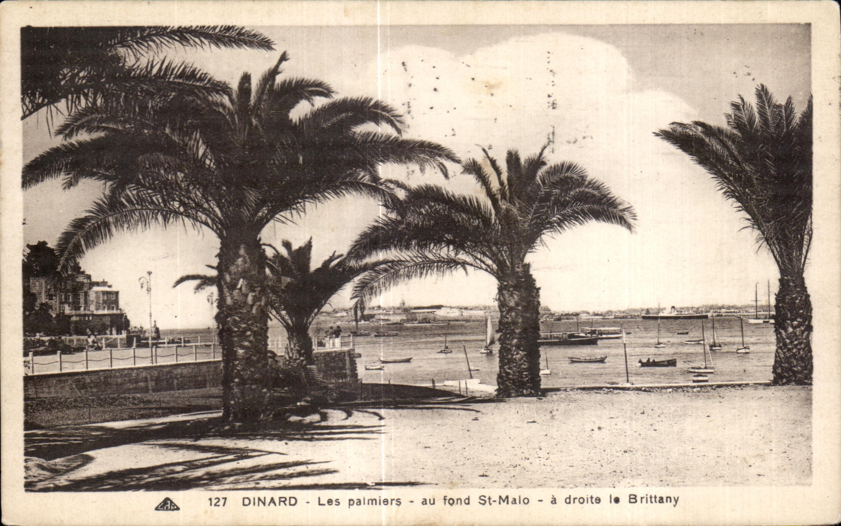 CPA Dinard Les palmiers au fond St Malo a droite le Brittany