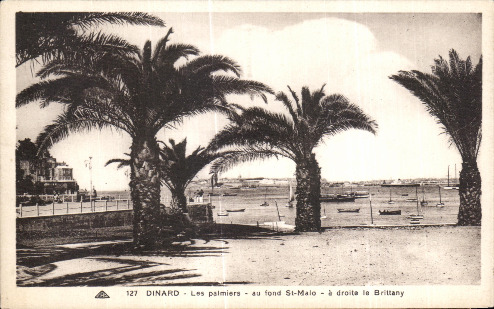 CPA Dinard Les Paimiers au fond St Malo droite le Brittany