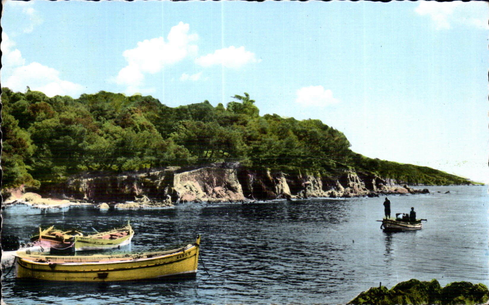 CPA Hyeres (Var) Port du Niel