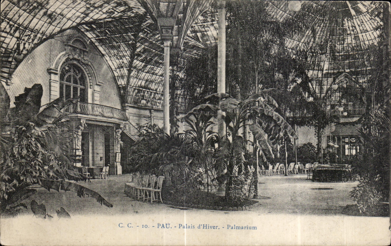 CPA Pau Palate Winter Palm house