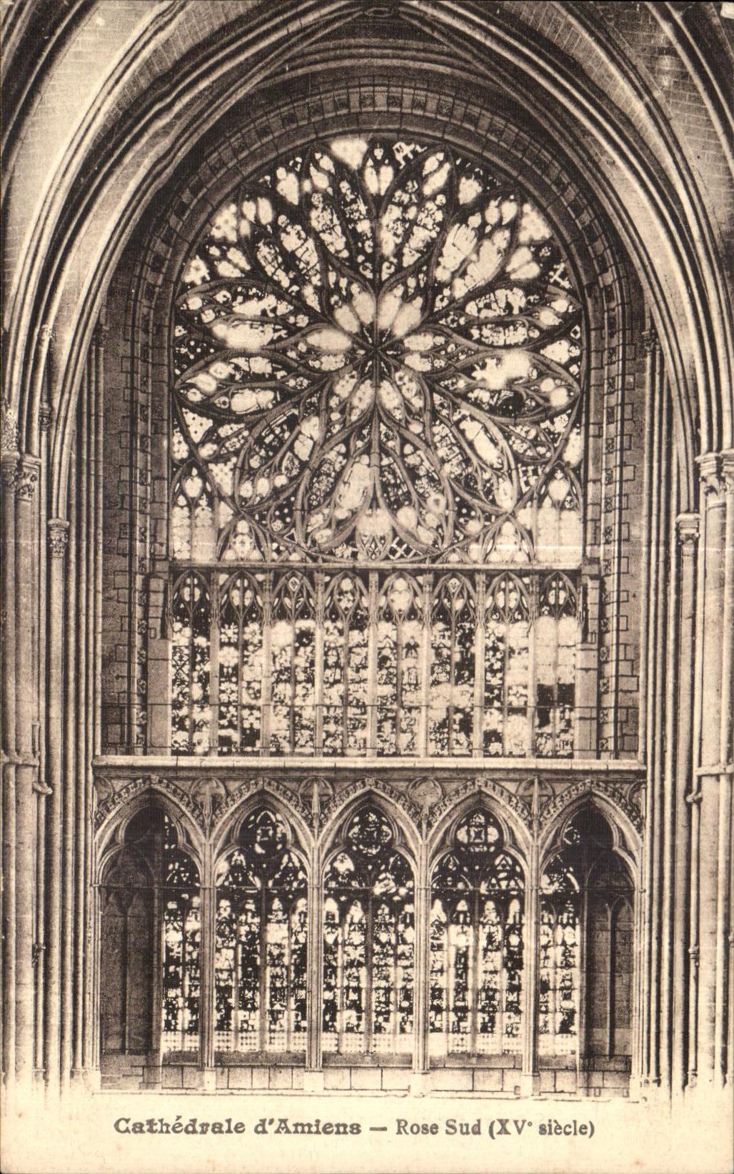 CPA Cathedrale d Amiens Rose Sud