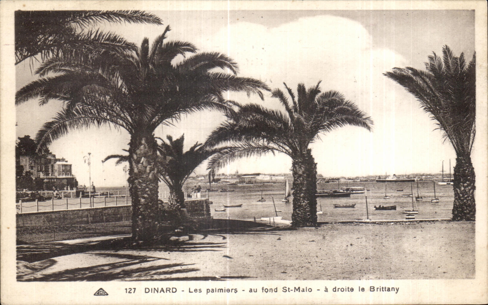 CPA Dinard Les palmiers au fond St Malo a droite le Brittany