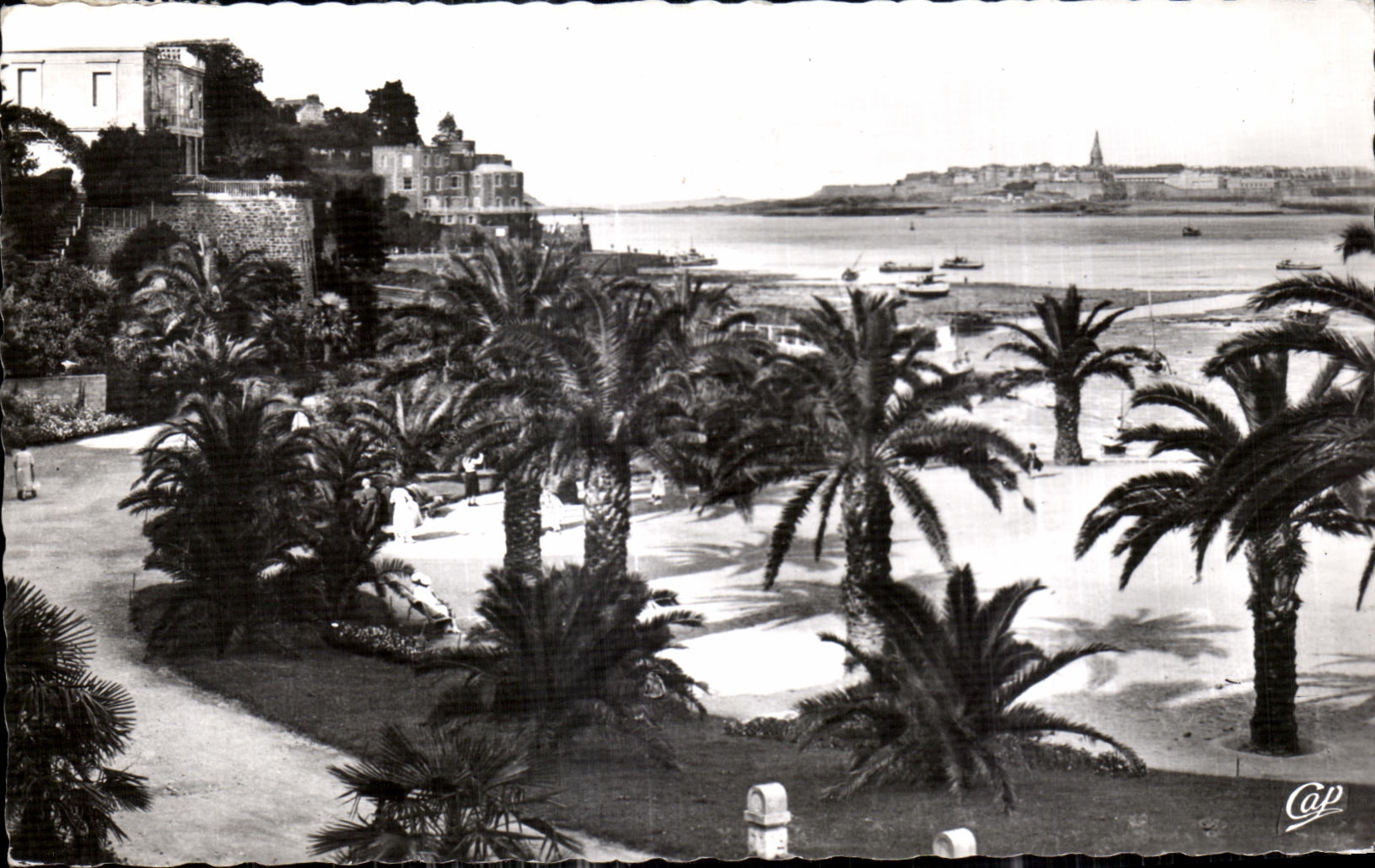 CPA Dinard Cote d Emeraude La Palmeraie Au fond Saint Malo