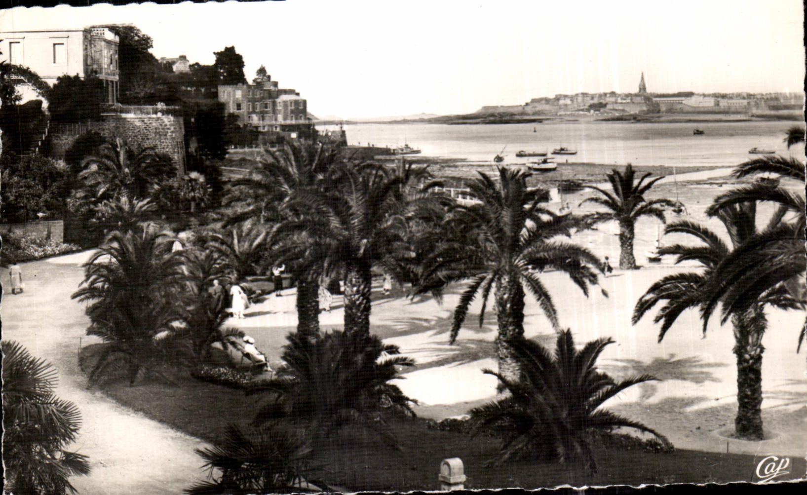 CPA Dinard La Palmeraie Au fond Saint Malo