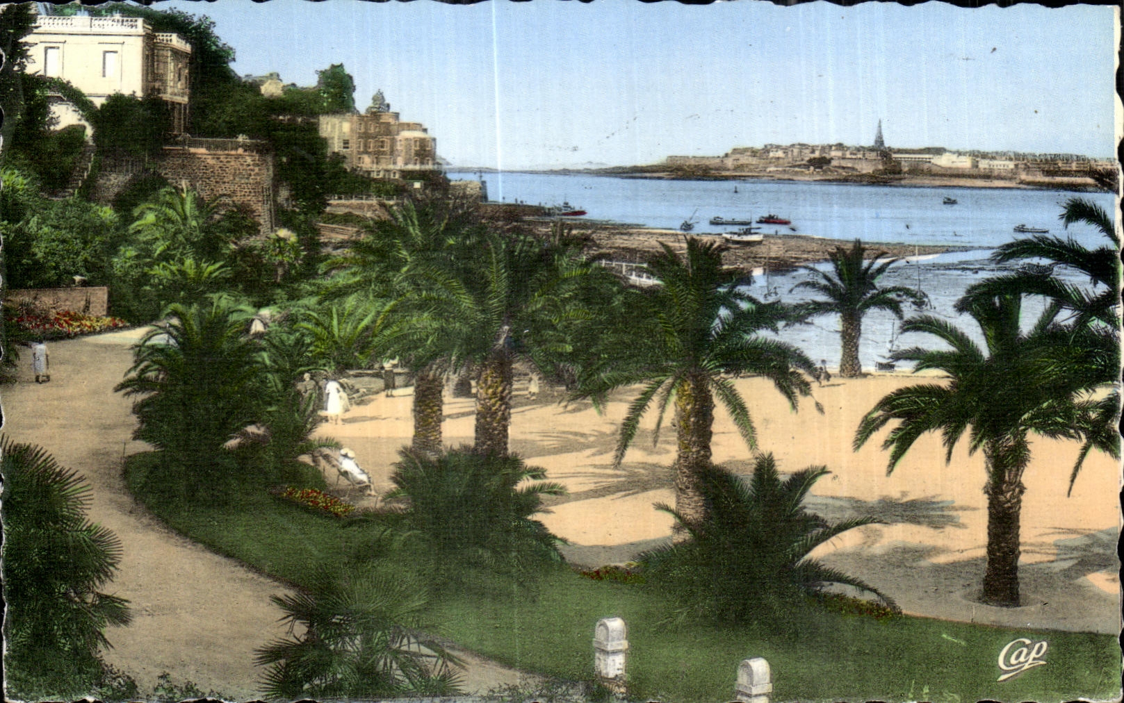 CPA Dinard Cote d Emeraude La Palmeriae au fond St Malo