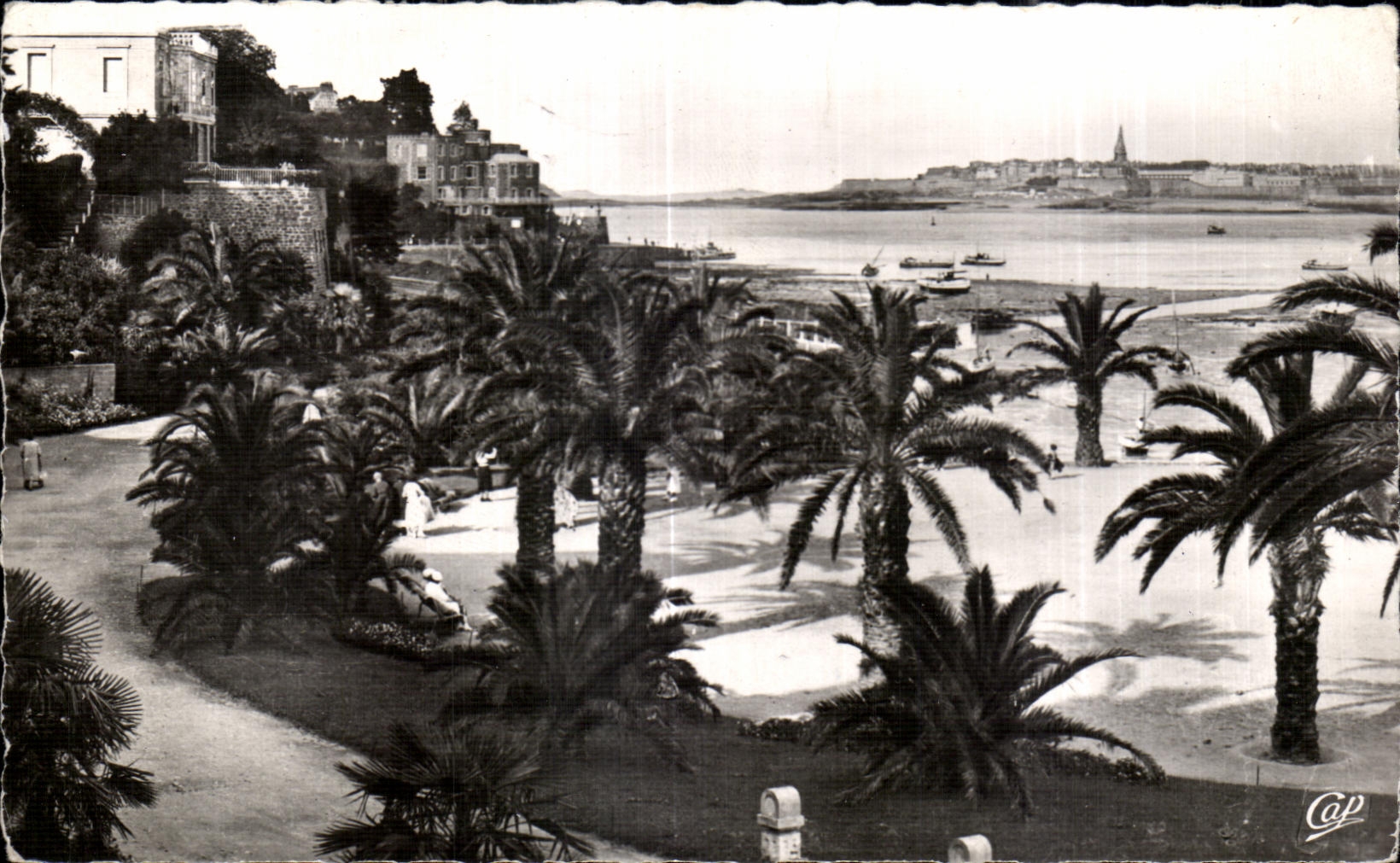CPA Dinard La Palmeraie Au fond Saint Malo