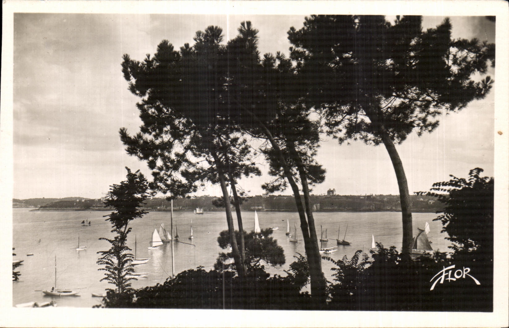 CPA Dinard La Baie du Prieure vue a travers les pins