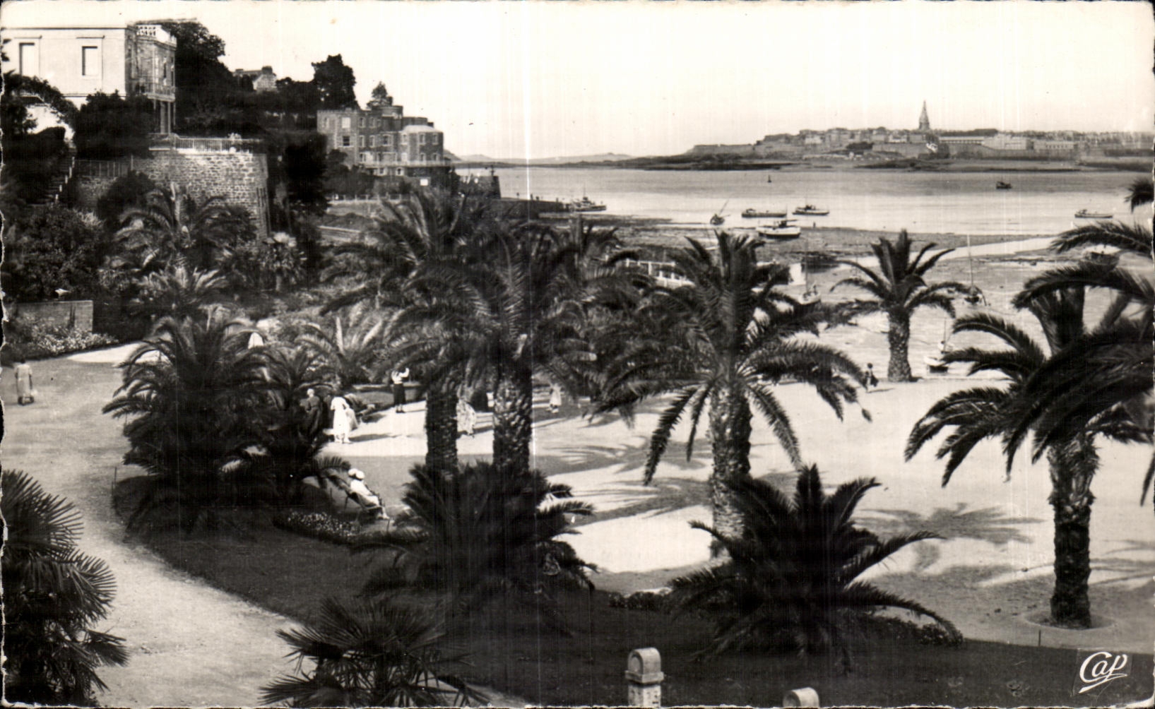 CPA Dinard La Palmeraie Au fond Saint Malo