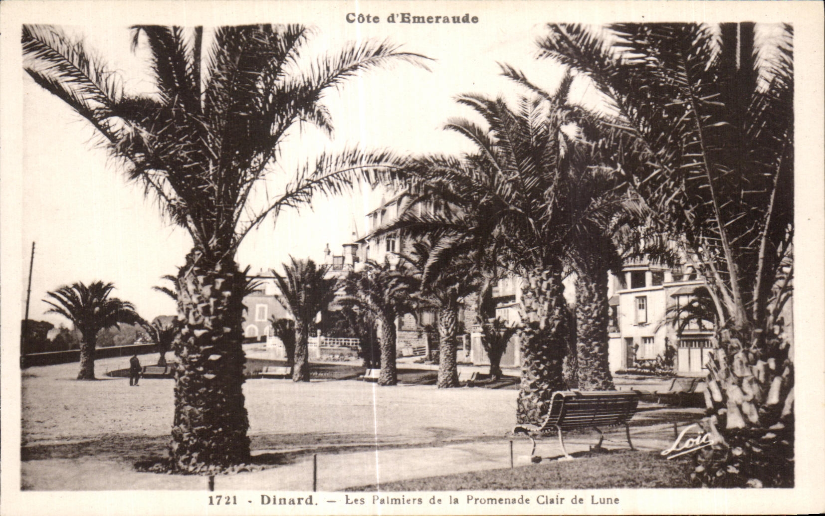 CPA Dinard Les Palmiera de la Promenade Clair de Lune