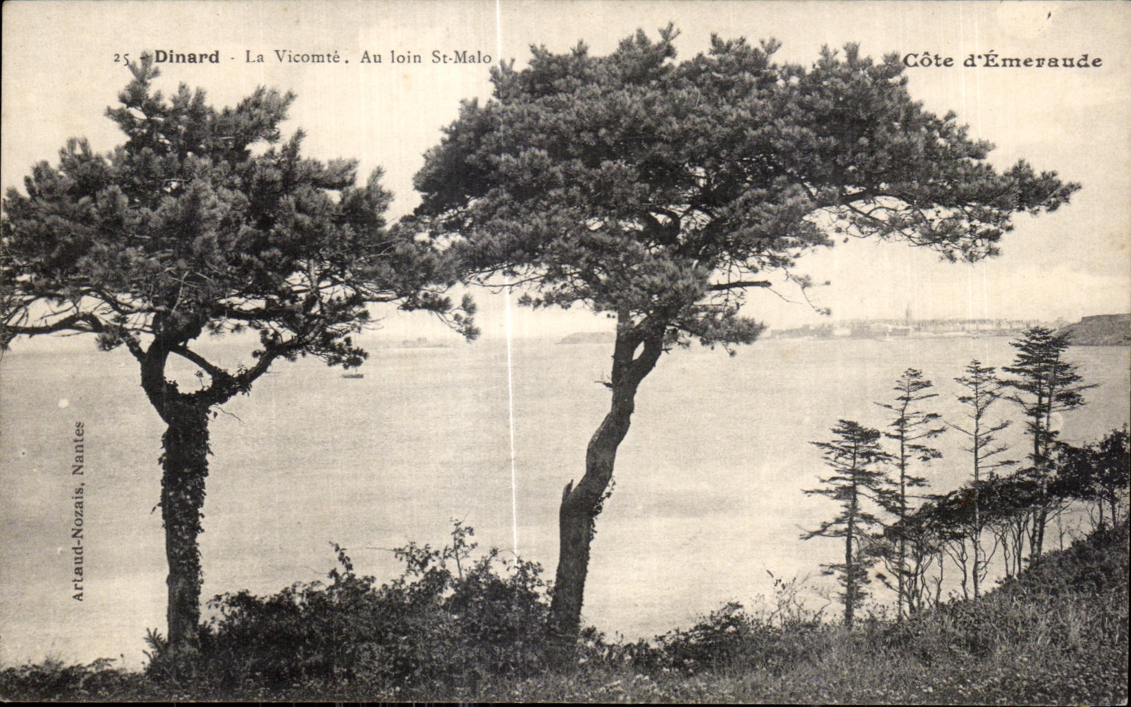 CPA Dinard La Vicomte Au loin St Malo