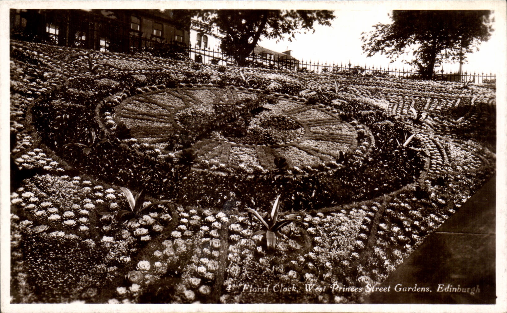 CPA Scotland Ecosse Floral Clock West Princes Street gardens