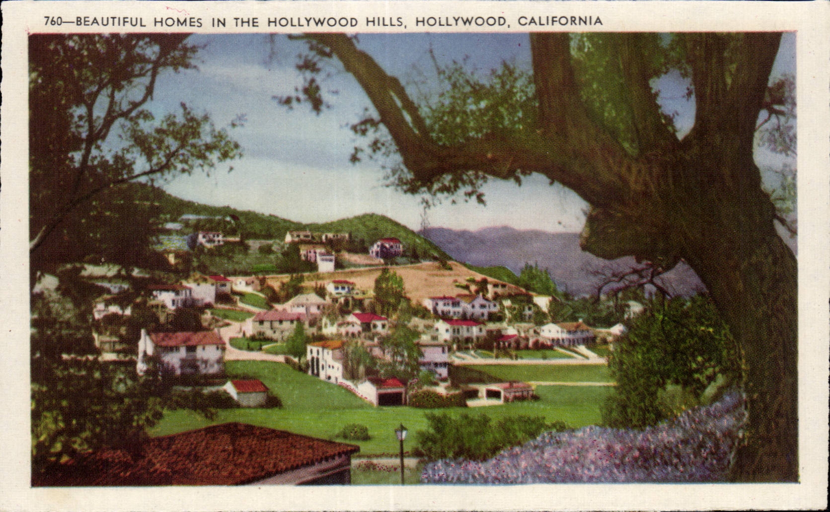 CPA Beautiful Homes in the Hollywood Hills Hollywood California