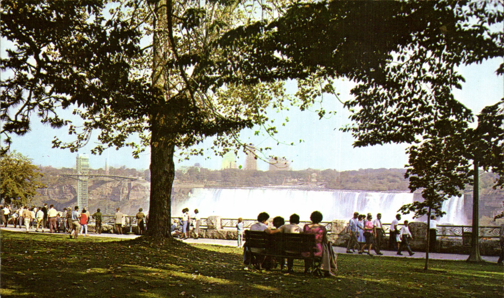 CPA New York Niagara Falls