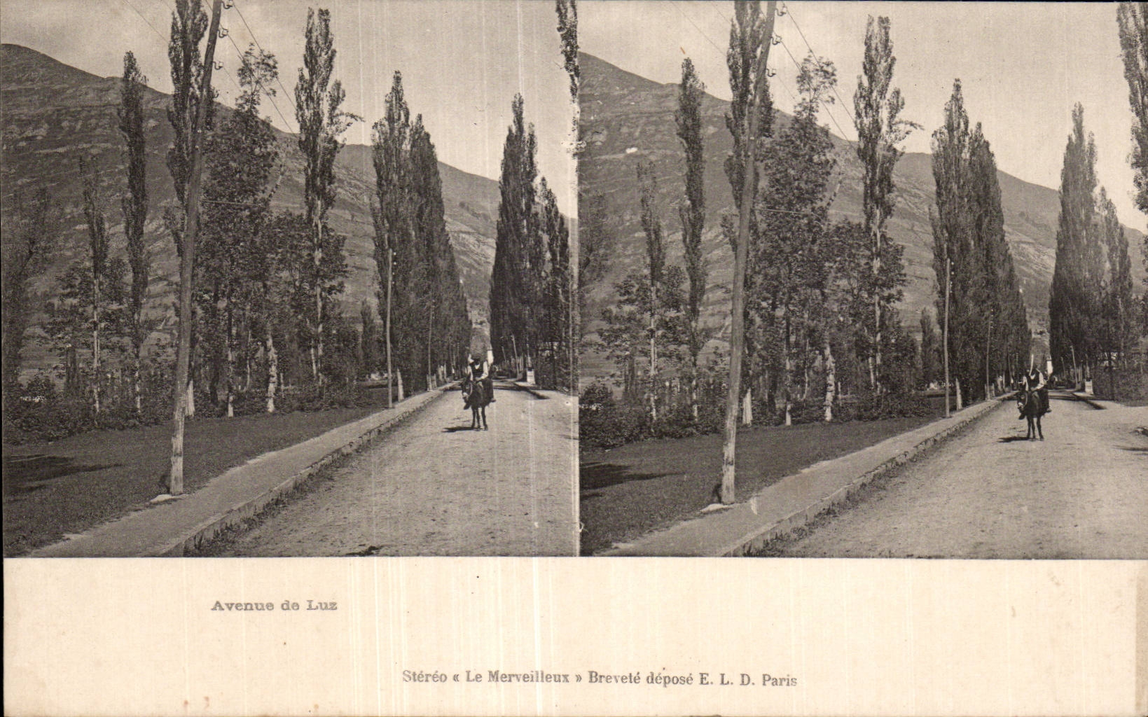 Carte Stereoscopique - Avenue de Luz - CPA 