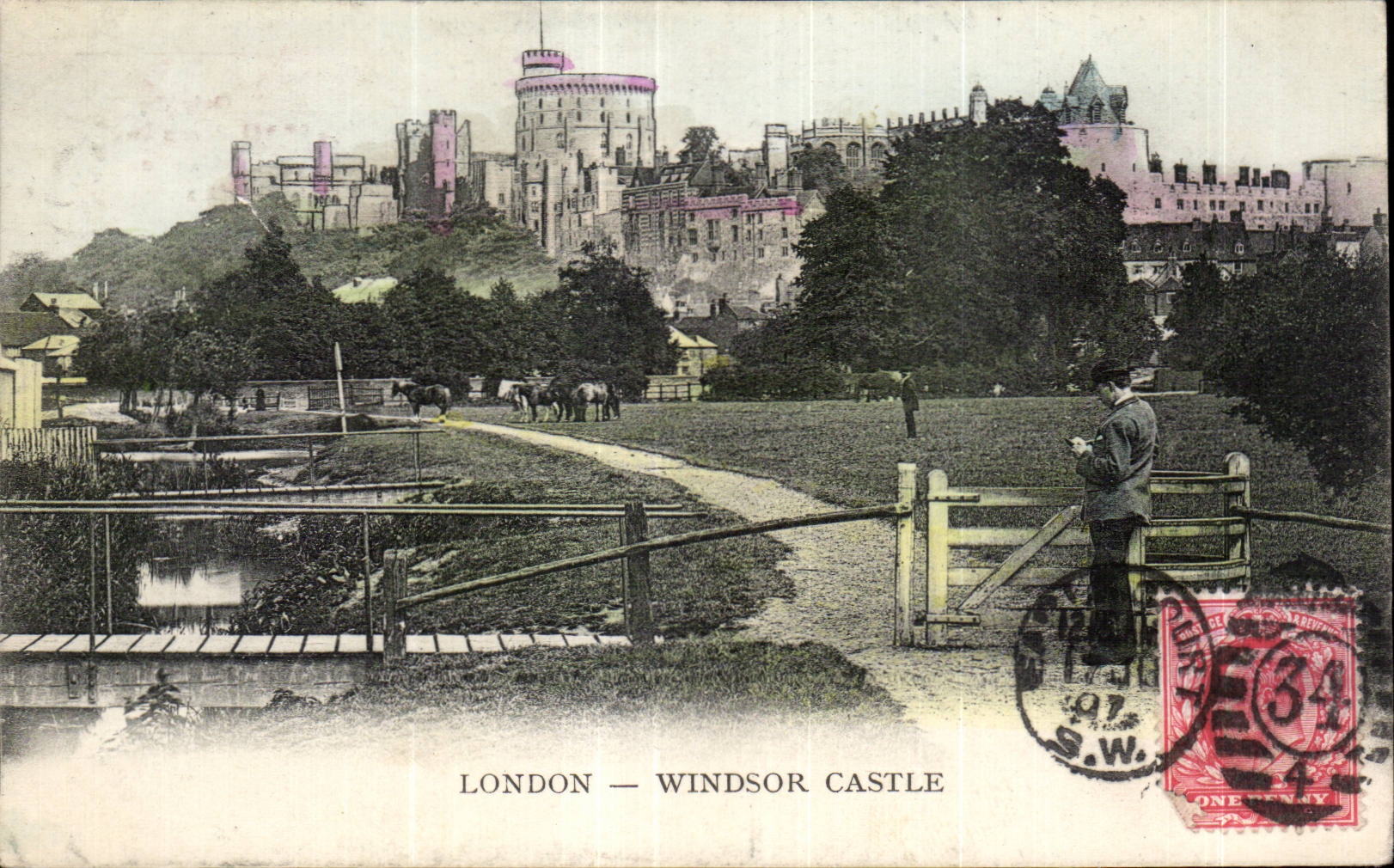 CPA London Windsor Castle Horse Horse
